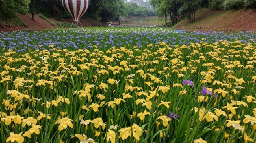 湿地植物园