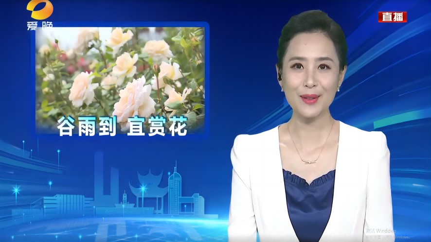 谷雨到 宜赏花